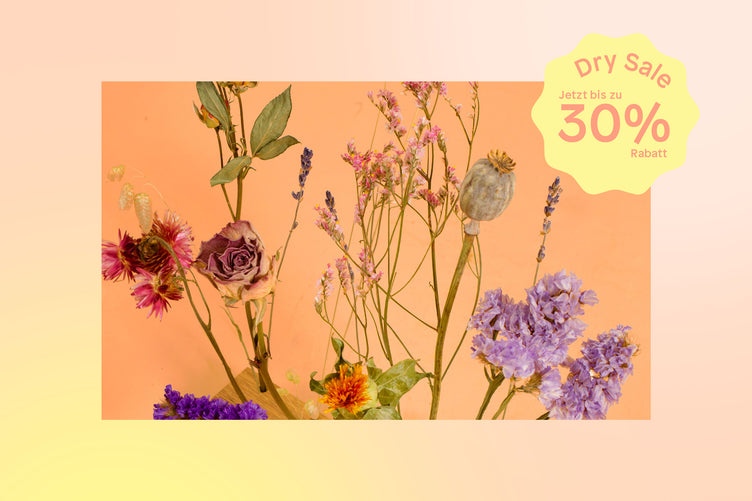 Dry Sale bei bloomon: bis zu 30 % Rabatt