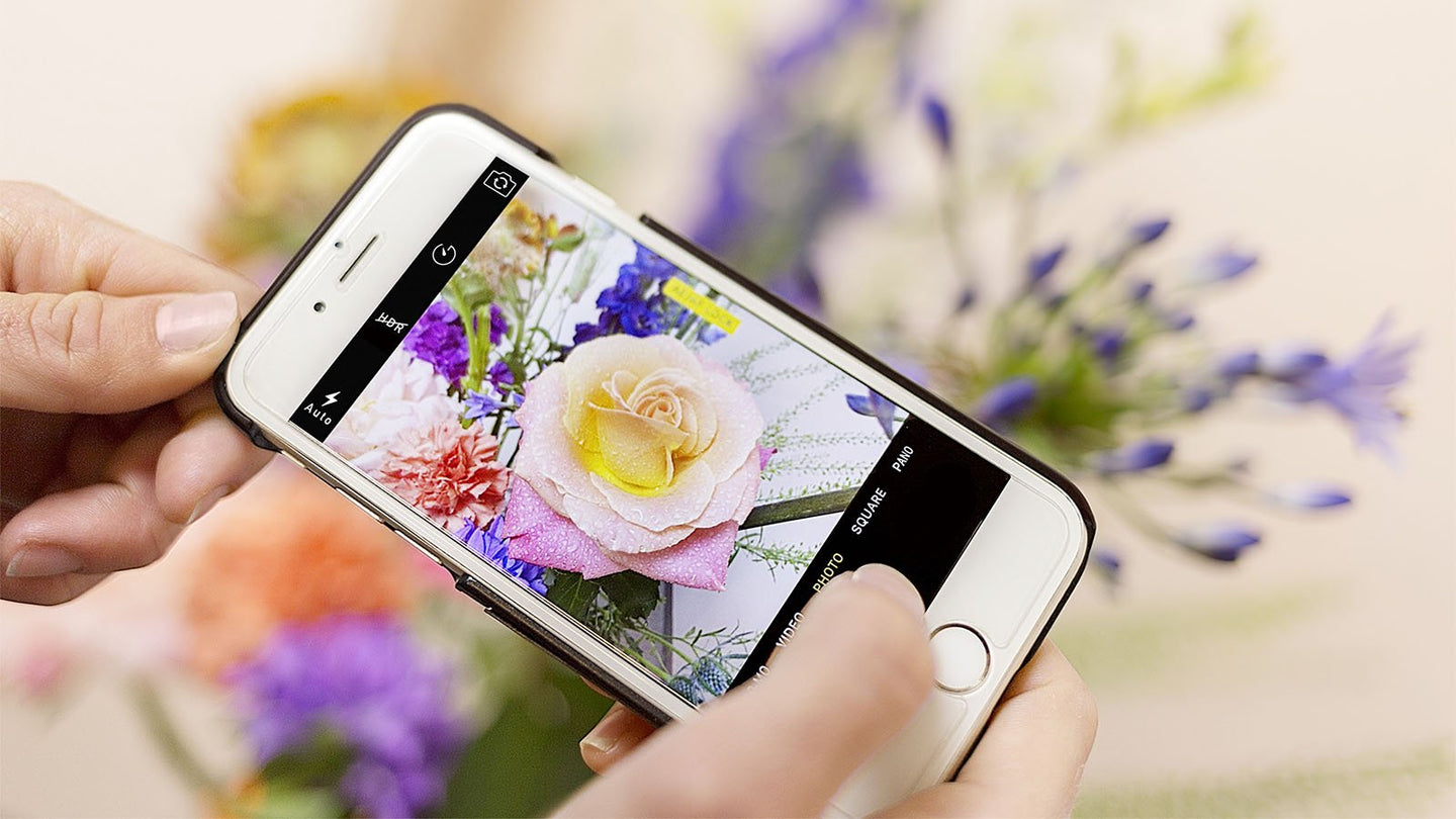 10 Tipps für umwerfende Blumenfotografie mit dem Handy