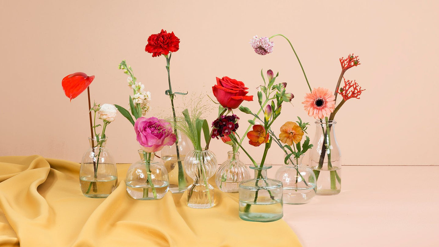Floriographie: So sagst Du's mit Blumen