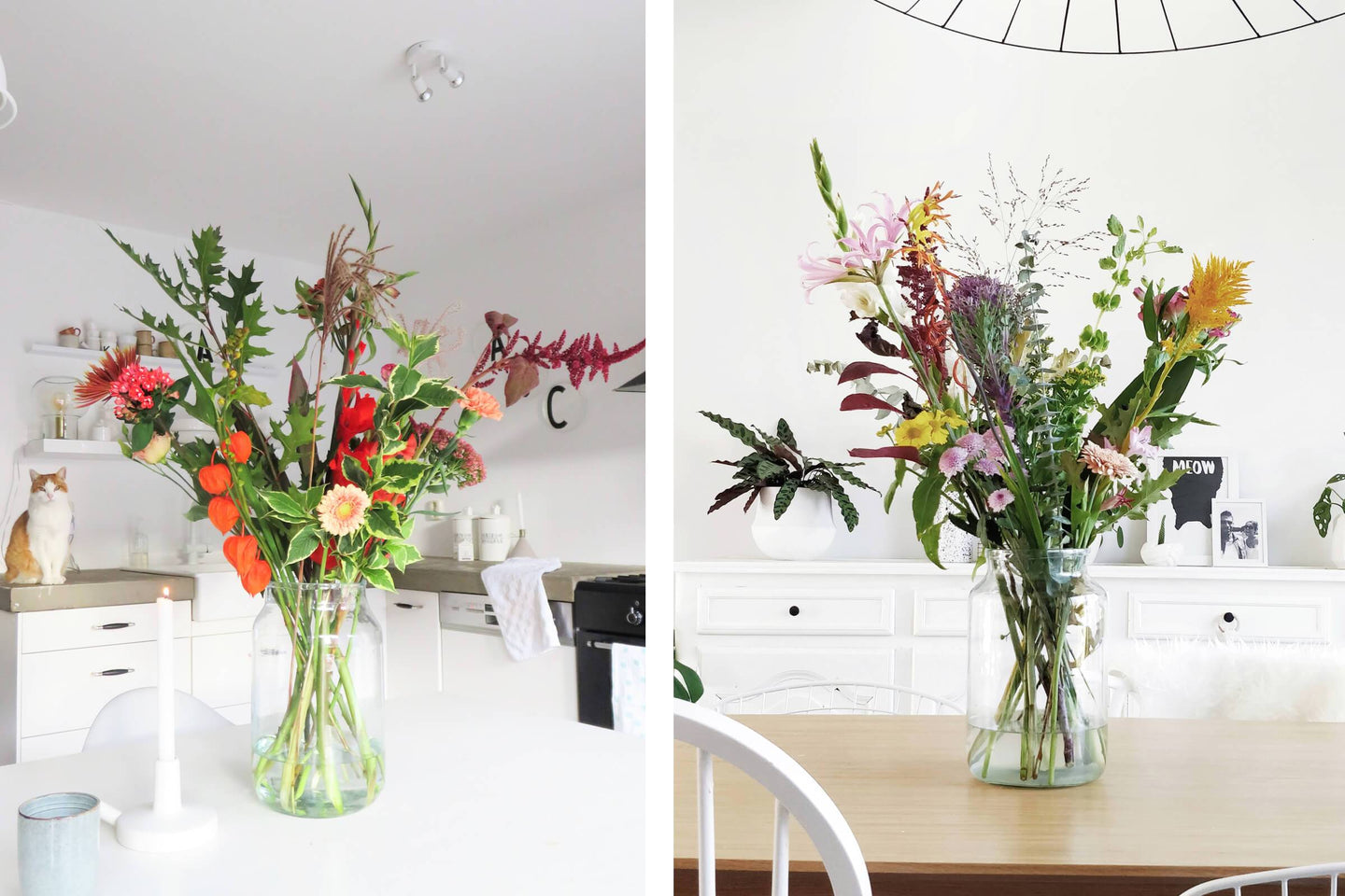 ZUHAUSE: So wohnen unsere Blumen-Fans