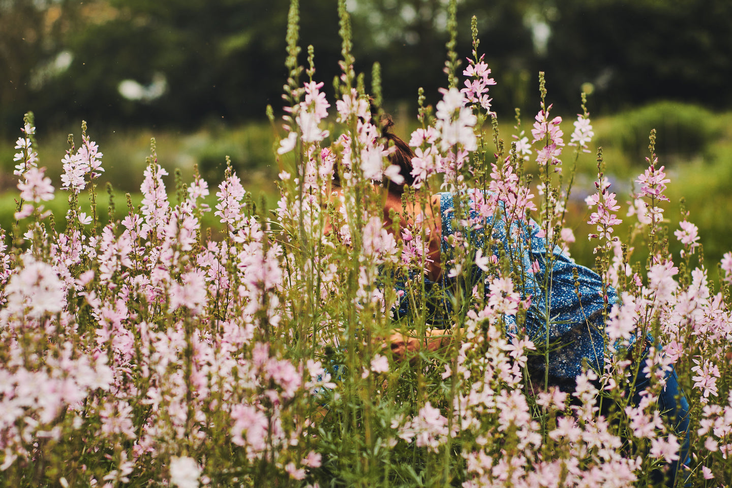 Entdecke, was Bio-Blumen bewirken