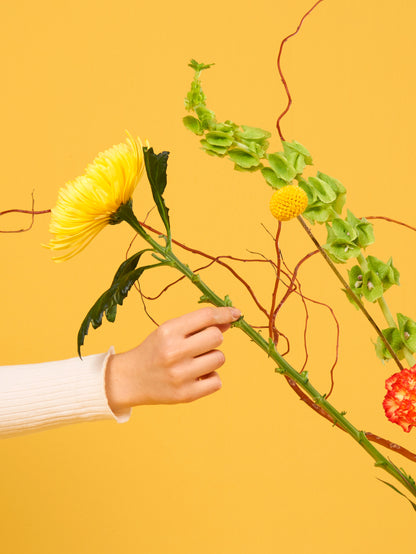 Hand hält gelbe Blume auf gelbem Hintergrund